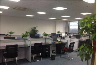 公司注冊(cè)與注銷及勞務(wù)相關(guān)資質(zhì)服務(wù)指南